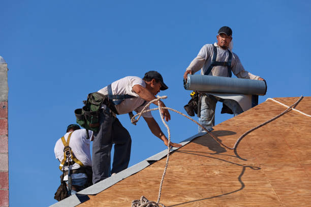 Best Roof Gutter Cleaning  in Vineyard Haven, MA